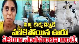 ఏకంగా ఎంతమందిని కరిచిందంటే | Village People's Bited by Road Side Dogs | Latest Update | SumanTV Sai