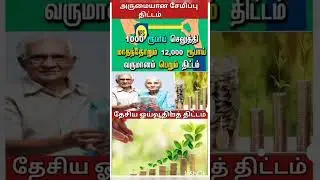 National Pension Scheme | 1000/- செலுத்தி மாதந்தோறும் 12000/- ரூ வருமானம் பெறும் திட்டம்| NPS