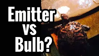 Pet Turtle Ceramic Heat Emitter vs Bulb?