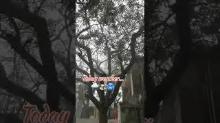 Today weather in my city...||🥶☃️🌨️ #shortvideo #vlog #viral #share