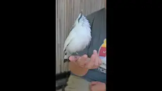 National Zookeeper Week - Birds Team