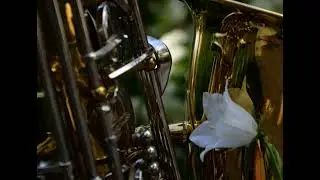 Romantic saxophone  Petite Fleur George Saxon  АК SAX MUSIC