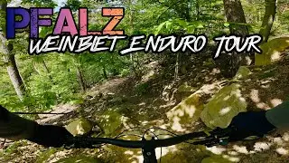 Pfalz Weinbiet MTB Enduro Tour Pfälzerwald Santa Cruz Cube Stereo