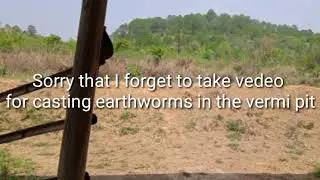 Vermi compost shemba (Vermi compost making)