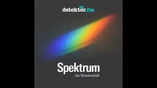 Dunning-Kruger-Effekt: Wie wir uns selbst überschätzen