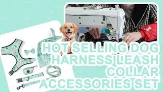 Stand Out in Style: Print Pet Leash Collar Harness Set with Custom Reversible Dog Harness Design