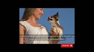 Keeping pets at home and other precautions