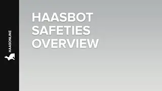 Haasbot Safeties Overview