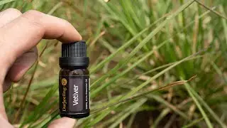 Vetiver Essential Oil - How It's Made ORIGINS