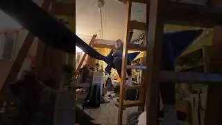 Home Fails That Belong in Memes #shorts