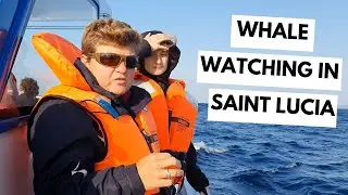 Whale watching in South Africa and wise words from Dr Deborah Robertson-Andersson - Saint Lucia