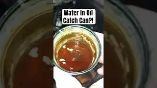 Why Is Moisture / Foam / Brown Gunk in Oil Catch Can / Separator? - see PLAYLIST DI #shorts