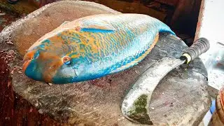 Parrot fish cutting skills and Round pieces methods.