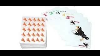 Rook Deck Review