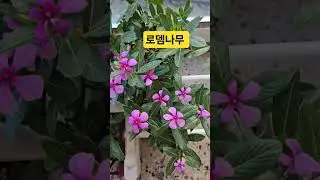 1/11 문의 010 5380 5008