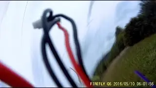 Eachine Wizard drone crashes into a tree