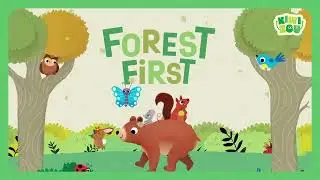 Kiwizou - Forest First - Video rules - ENG