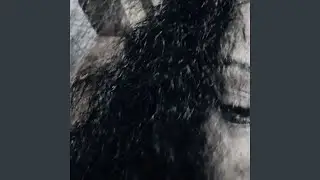 Villan