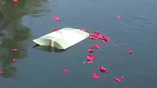 scattering ashes at sea