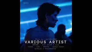 TWVA 03 | VARIOUS ARTISTS an album