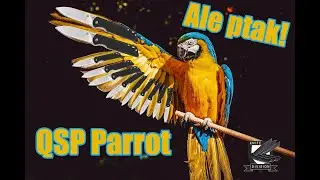 Ale ptak! - QSP Parrot