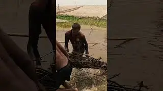 River Fishing Video By Jhar Fish #fish #villagelife #riverfish
