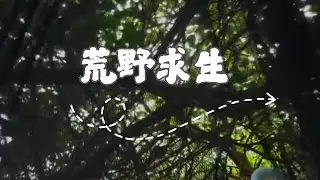 硬核挑戰！帶奶奶荒島生存 15 天，生火捕魚搭帳篷，祖孫倆的荒野求生記太燃了 #荒島生存 #戶外 #生存 #冒險