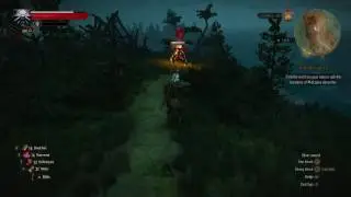 Killing ?? Level Grave Hag Using Igni (Witcher 3 NG+)