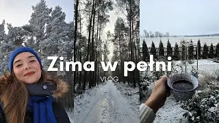 VLOG I Zima na wsi, spacerki po lesie, sprzątanie, zakupy, pogaduchy #vlog #zima #natura #polskawieś