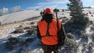 Wyoming 2025 Elk Hunt