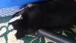 Fhjgy