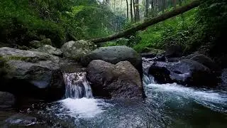 Flowing Peace - Tranquil Nature's Scene for Relaxing, Sleep Faster and Deeply