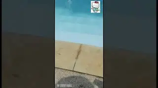 Mainan Mandi Anak KEPITING lucu yang dapat berjalan dan berenang Baby bath toys