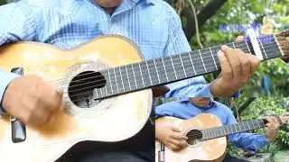 Sublime amor - Cover requinto y guitarras - Hermelando Alviter