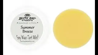 Busy Bee Candles Summer Wax Tarts