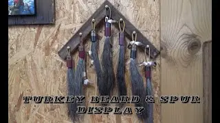 Easy Turkey Beard & Spur Display