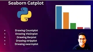 Seaborn  Catplot comprehensive guide