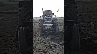 Swaraj tractor bird 🐦 flying