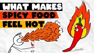 What Makes Spicy Food Feel Hot?