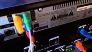 ZeeVee Roy's Lab