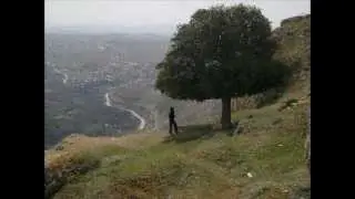 عين منين زجل