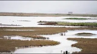 100 дней использования биобусин в природном заповеднике Рай-Харбор