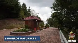 Club naval Antares