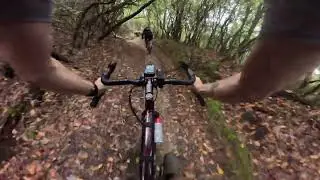 Brevard Gravel - Roll Call Route (ish)