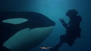 Free Willy 3: The Rescue (1997) Max Falls Into The Ocean And Meets Willy