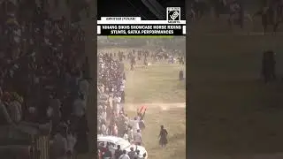 Nihang Sikhs showcase Horse riding stunts and Gatka performances a day after Bandi Chhor Divas