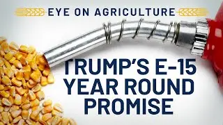 Trump's E-15 Year Round Promise
