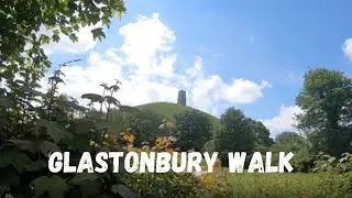 Glastonbury Tor to the Old Oaks - Gog and Magog - An Avalon Marshes Circular Walk - 3.5 miles