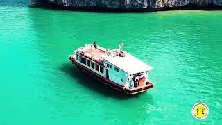 One Day Boat tour compilation with Cat Ba Langurs