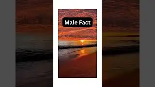 If He Shares His Passions With You&hellip; Here&rsquo;s What It REALLY Means! 🔥💬 #MaleFact